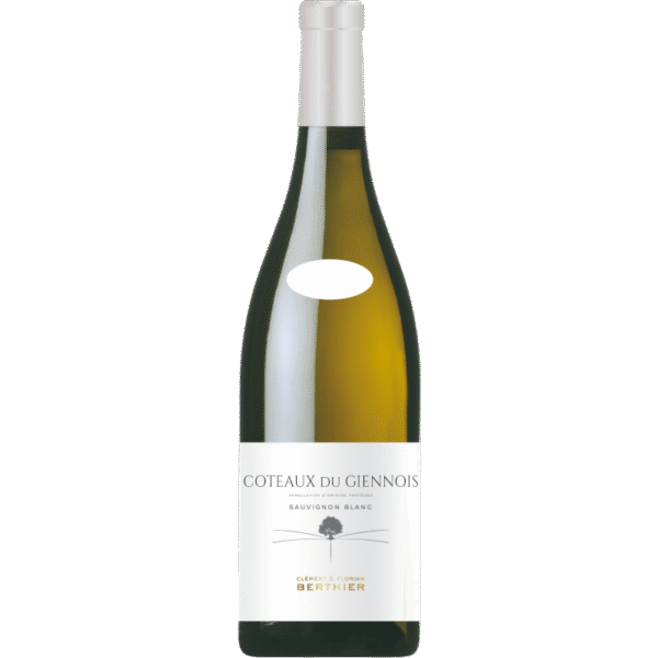 CLEMENT & FLORIAN BERTHIER COTEAUX DU GIENNOIS BLANC 2021