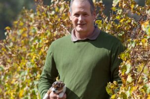 Degustacja Delheim – wina z Południowej Afryki!