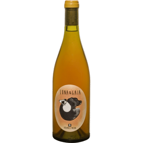 HENRI MILAN LUNA & GAIA ORANGE 2021