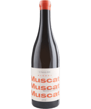 SCHODL BLOODY MUSCAT 2023