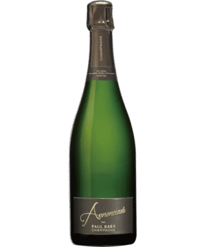 PAUL BARA ANNONCIADE 2006