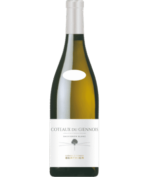 CLEMENT & FLORIAN BERTHIER COTEAUX DU GIENNOIS BLANC 2021