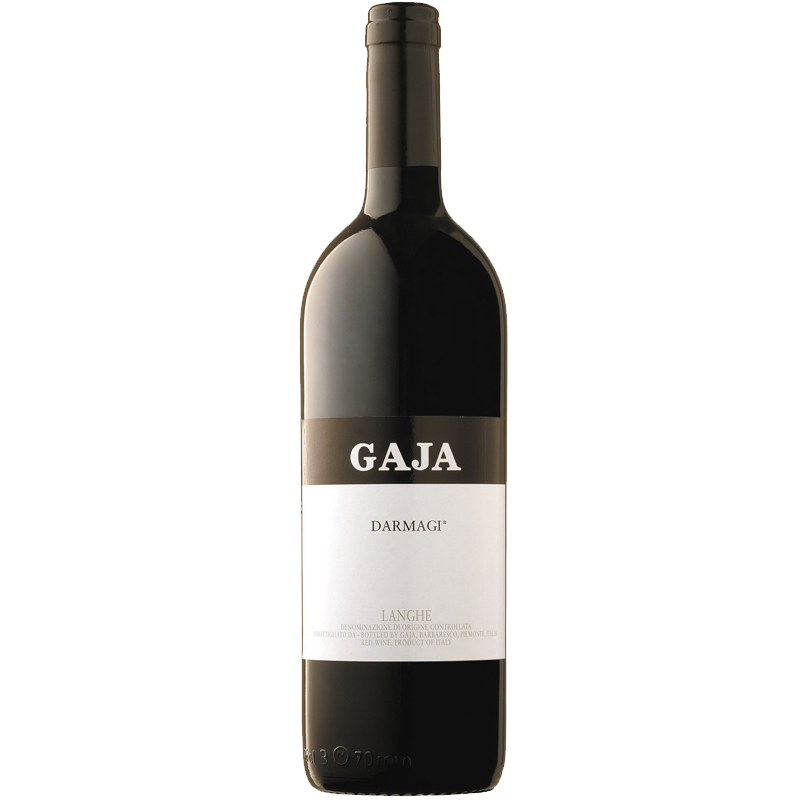 GAJA DARMAGI LANGHE