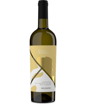 QUERCI ANTICA VERDICCHIO