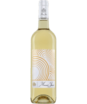 MUSAR JEUNE&nbsp;WHITE