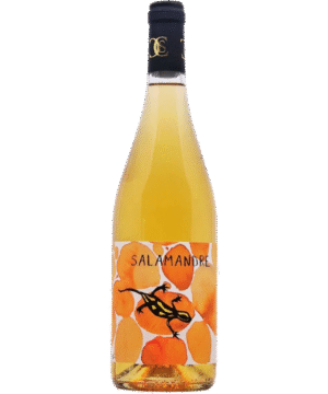 SALAMANDRE ORANGE