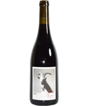 PLANET MOURAZ CHIBU&nbsp;RED