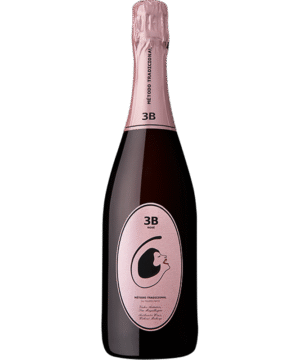 FILIPA PATO 3B ROSE NV