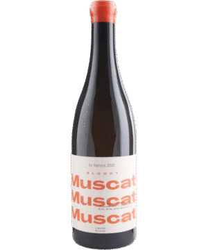 SCHODL BLOODY MUSCAT