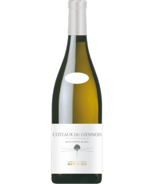 CLEMENT & FLORIAN BERTHIER