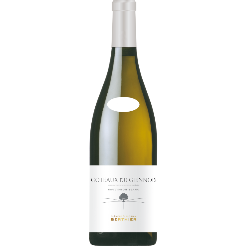 CLEMENT & FLORIAN BERTHIER